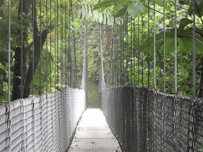 Arenal Hanging Bridge