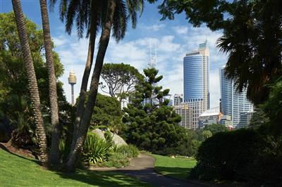 Australie, NSW, Sydney, Royal Botanic Gardens