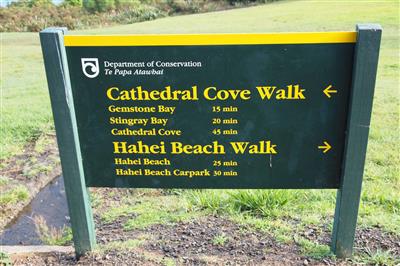 Cathedral Cove Walk, Coromandel