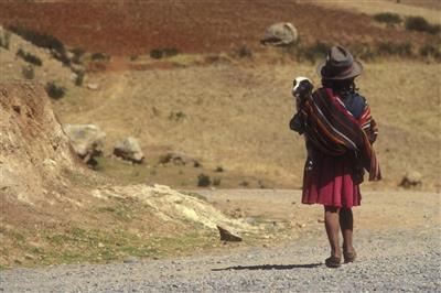 Dame met lama in de bergen bij Cuzco