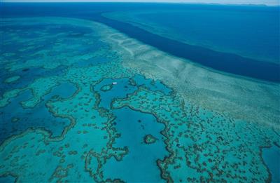 Great Barrier Reef, Australië (Bron: Tourism and Events Queensland)