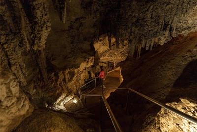 Jenolan Caves, Blue Mountains (Bron: Tourism Australia)