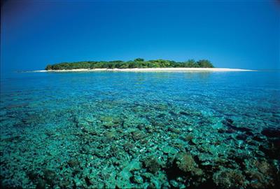 Lady Musgrave Island (Bron: Tourism and Events Queensland)