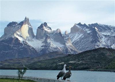 Los Cuenos bergtoppen in het nationale park Torres del Paine
