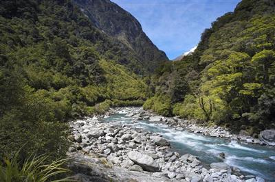 Nieuw-Zeeland, Zuidereiland, Haast Pass