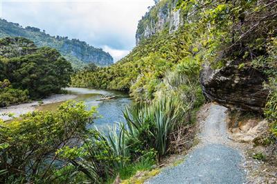 Nieuw-Zeeland, Zuidereiland, Punakaiki, Porarari River Track