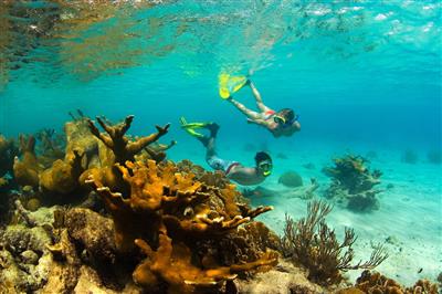 Onderwaterwereld van Curaçao