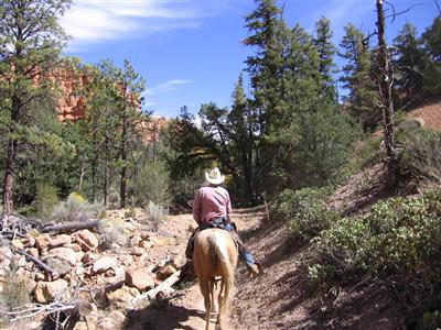Paardrijden in Bryce Canyon