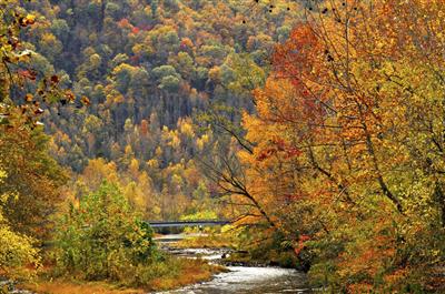 Pigeon River, Tennessee