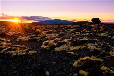 Tongariro Sunset, Noordereiland