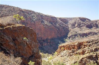 West MacDonnell Ranges, Australië (Bron: Tourism Australia)