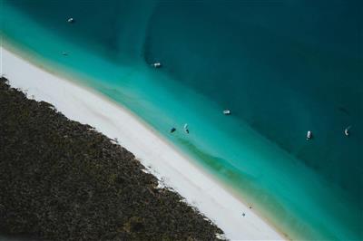 Whitehaven Beach, Whitsundays, Australië (Bron: Tourism and Events Queensland)